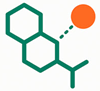 Carbohydrate and polysaccharide bioconjugation schematic, Bio-Synthesis overview