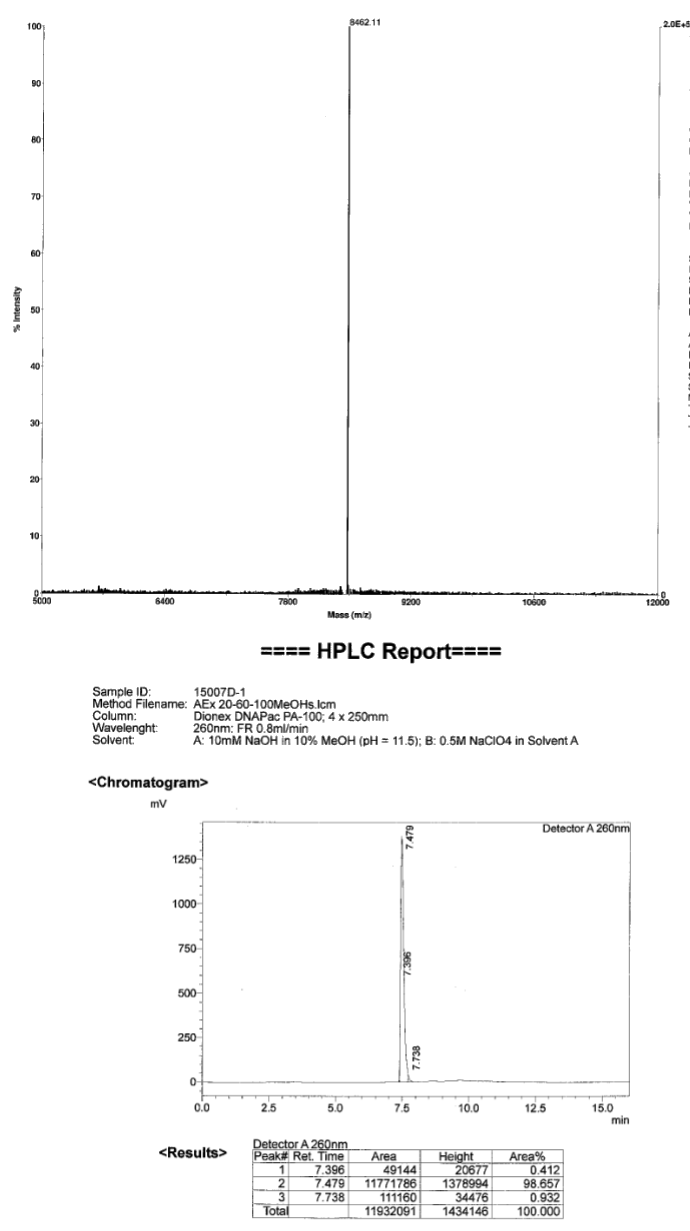 oligo dota conjugation