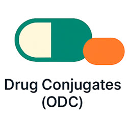 Drug payload conjugation icon – Bio-Synthesis