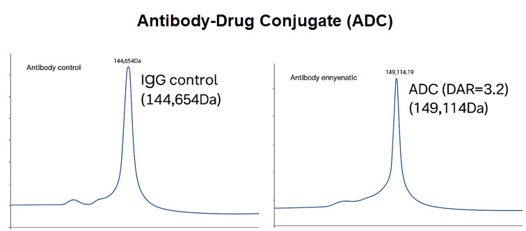 LC-MS analysis of an antibody–drug conjugate bioconjugate