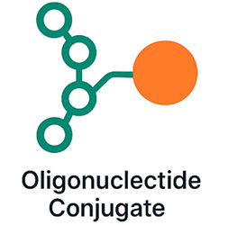 Oligonucleotide (ODC) conjugation icon – Bio-Synthesis
