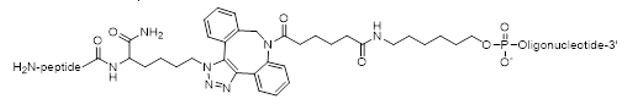 Maleimide Conjugation Chemistry