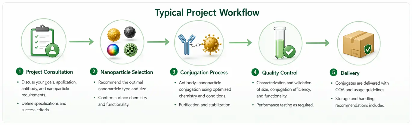 Typical project workflow for antibody nanoparticle conjugation including nanoparticle selection, antibody compatibility review, conjugation strategy, and delivery