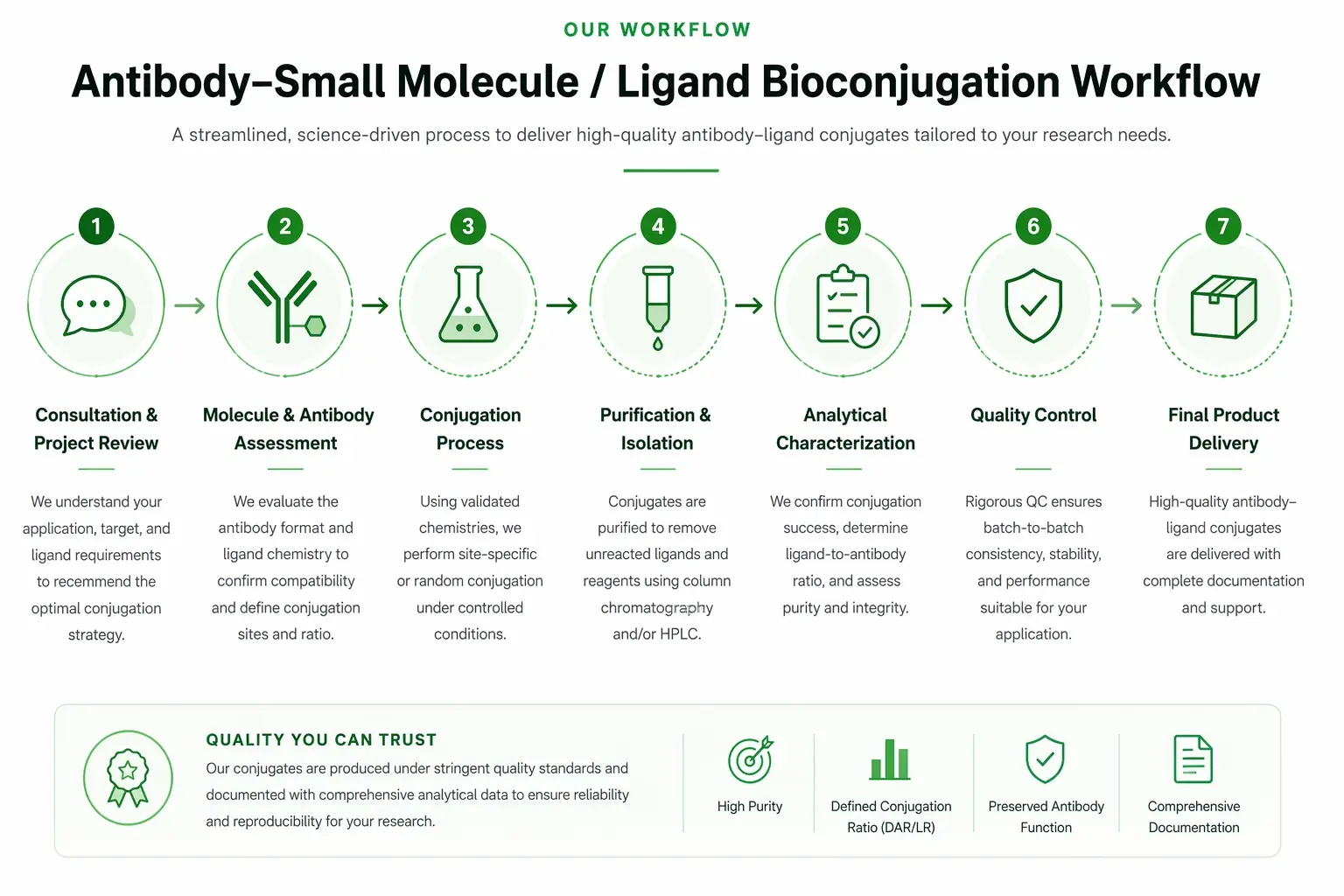 Antibody small molecule ligand bioconjugation workflow showing consultation, assessment, conjugation, purification, characterization, quality control, and final delivery