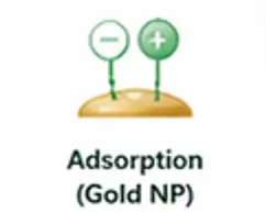 Adsorption chemistry for gold nanoparticle antibody conjugation