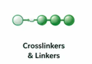 Crosslinkers and linkers for antibody nanoparticle conjugation