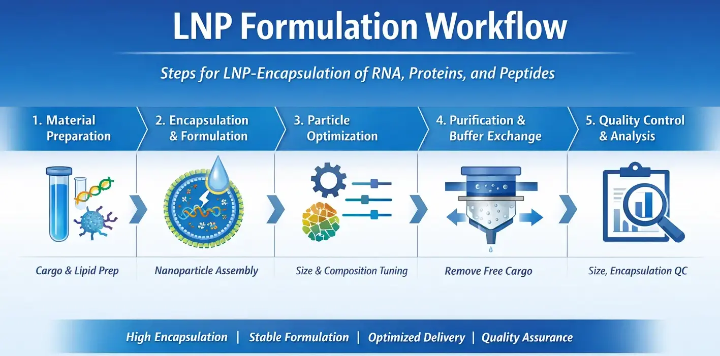 Lipid nanoparticle (LNP) formulation workflow for RNA, oligonucleotide, and protein delivery