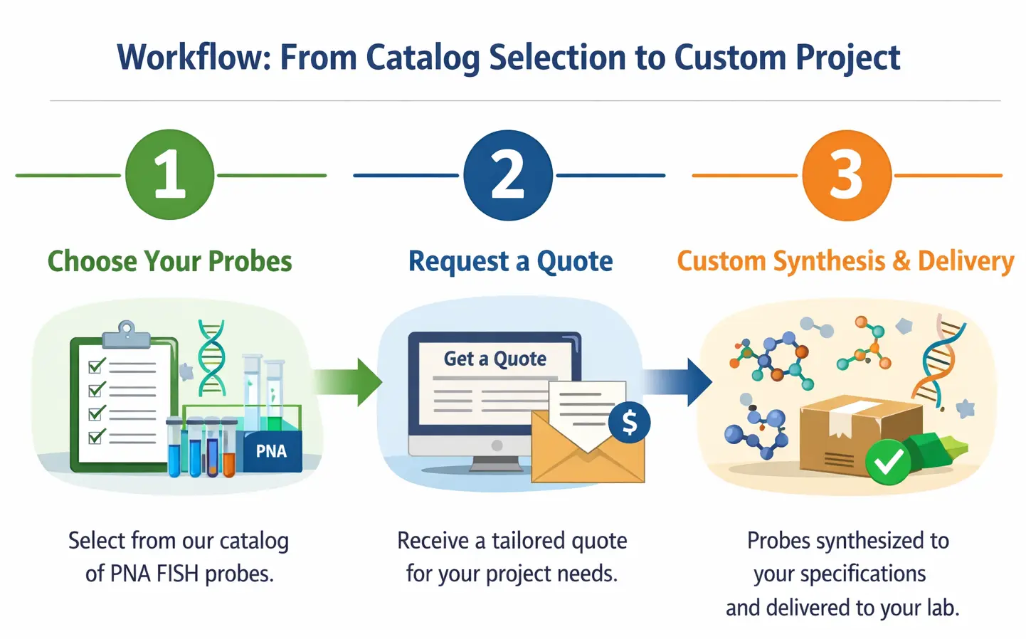 Workflow from catalog selection to custom project showing 1) Choose Your Probes, 2) Request a Quote, and 3) Custom Synthesis and Delivery