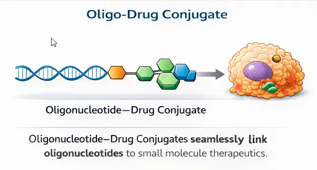 Oligo-drug conjugate showing oligonucleotide linked to drug payload