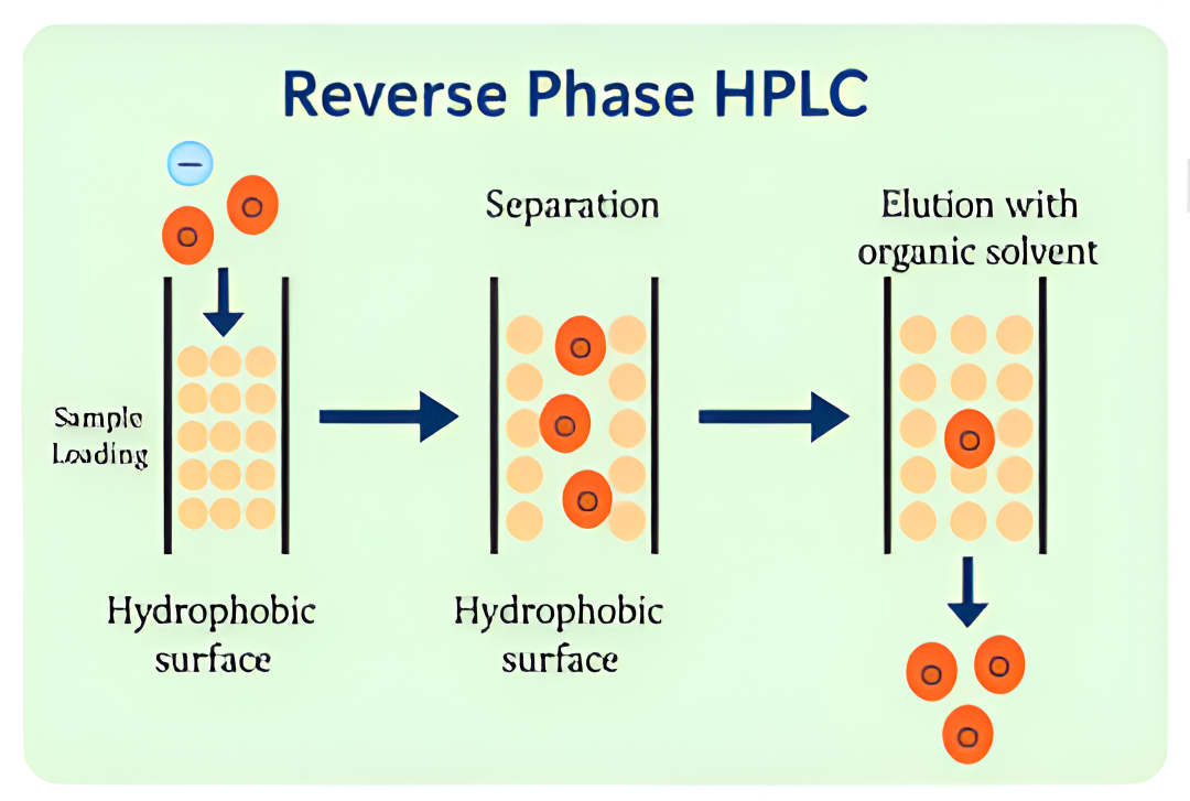 Reverse Phase HPLC Setup