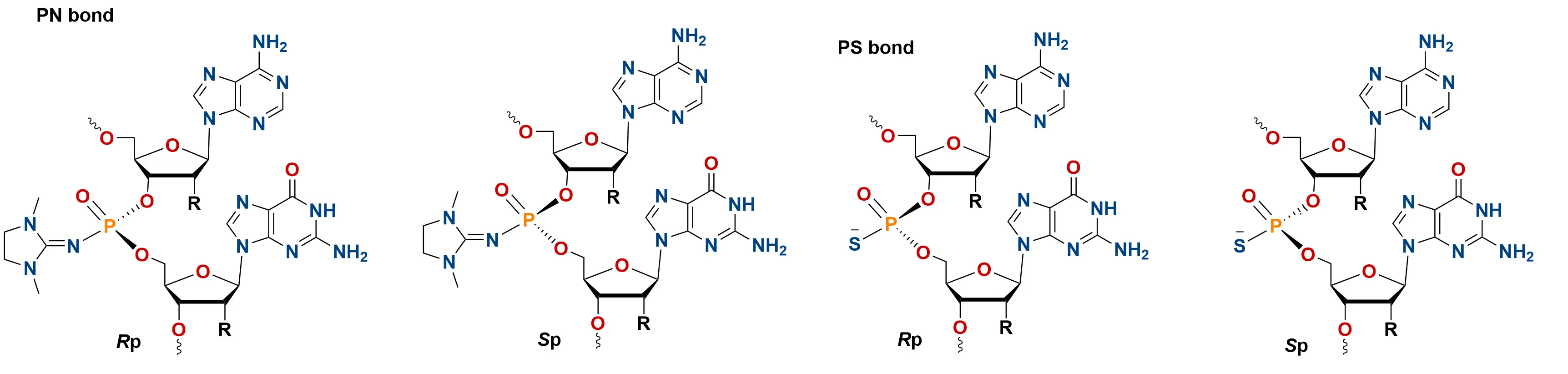 Multiple Antigen Peptide (MAP) schematic showing lysine dendrimer core with multiple epitope arms and optional spacers.