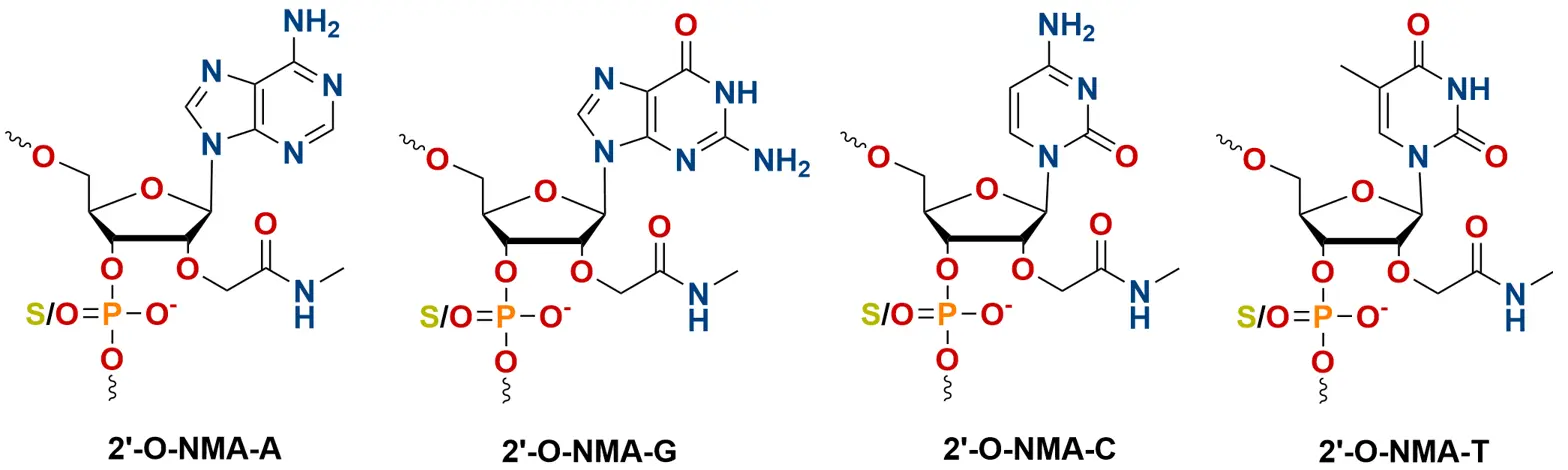 2'-O-NMA modification across A, U, G, C nucleobases