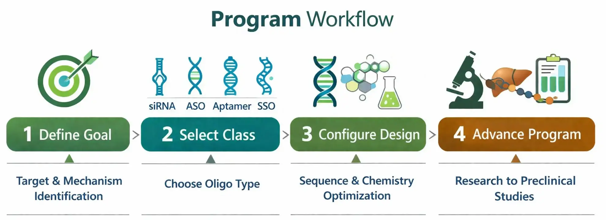 Program workflow for therapeutic oligo bioconjugation showing define goal, select class, configure design, and advance program