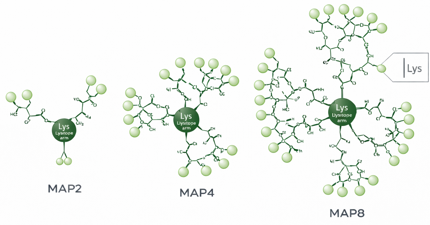 Multiple Antigen Peptide (MAP) schematic showing lysine dendrimer core with multiple epitope arms and optional spacers.