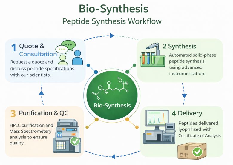 Bio-Synthesis peptide synthesis workflow: quote and consultation, synthesis, purification and QC, and delivery