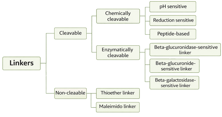 Cleavable versus non-cleavable linker classification diagram