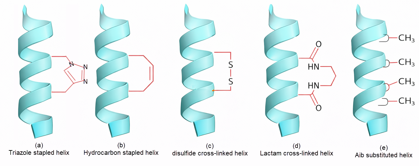 Helical peptide design and synthesis: helix stabilization strategies including hydrocarbon stapling, lactam bridges, disulfide/thioether constraints, helix-promoting residues, and backbone N-methylation.