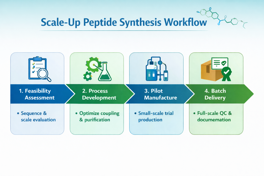 Scale-Up Peptide Synthesis Workflow from feasibility to batch delivery