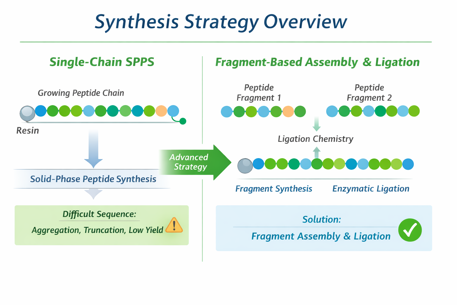 Diagram comparing single-chain SPPS and fragment-based peptide assembly with ligation chemistry