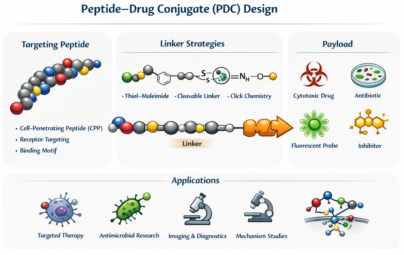 Peptide-drug conjugate (PDC) design showing targeting peptide, linker strategies (thiol-maleimide, cleavable linkers, click chemistry), and small-molecule payloads including drugs, antibiotics, inhibitors, and probes.