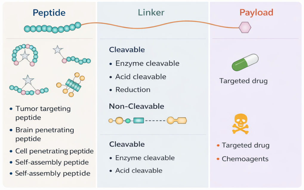 Branched peptide synthesis schematic showing a lysine branching core with two to eight peptide arms (MAP-2, MAP-4, MAP-8) and dendrimer for multivalent epitope presentation.