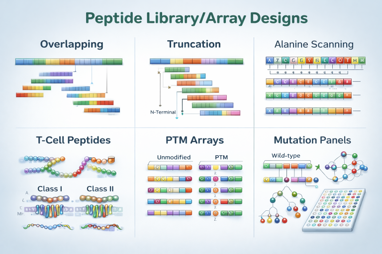 Peptide Library and Array Designs including overlapping peptides, truncation panels, alanine scanning, T-cell peptides, PTM arrays, and mutation panels