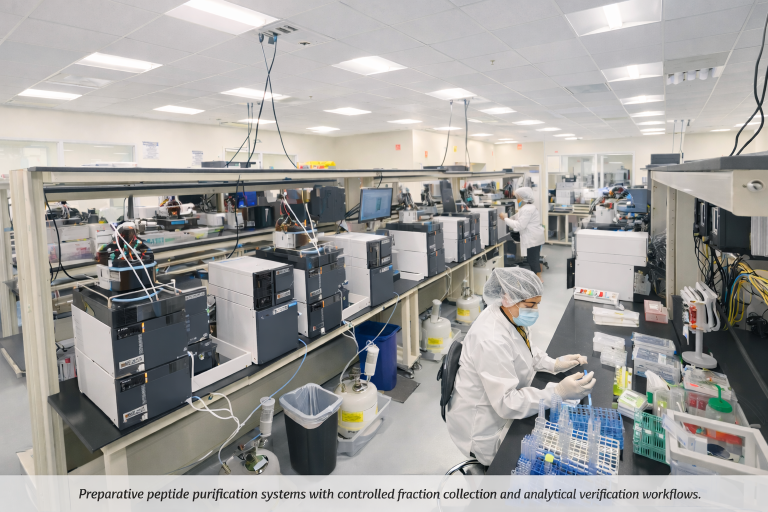 Peptide purification laboratory with preparative chromatography systems and technicians performing sample handling