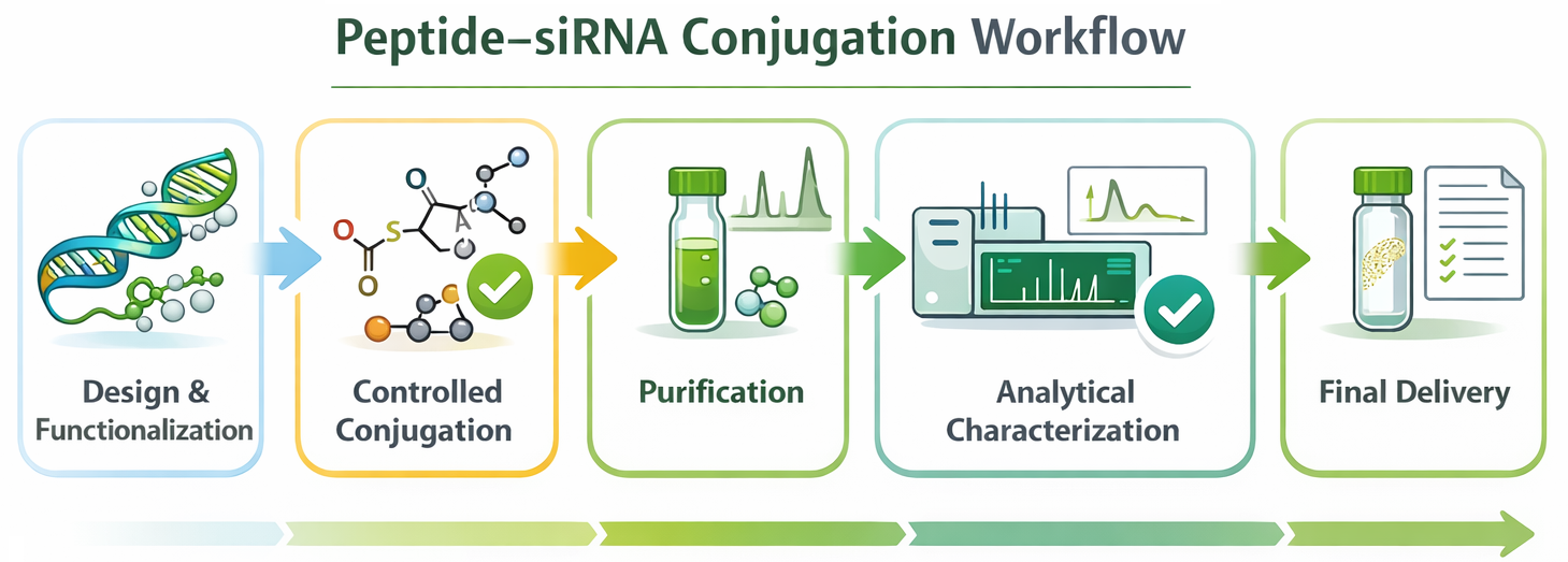Workflow for peptide–siRNA conjugation including design, conjugation, purification, QC, and delivery