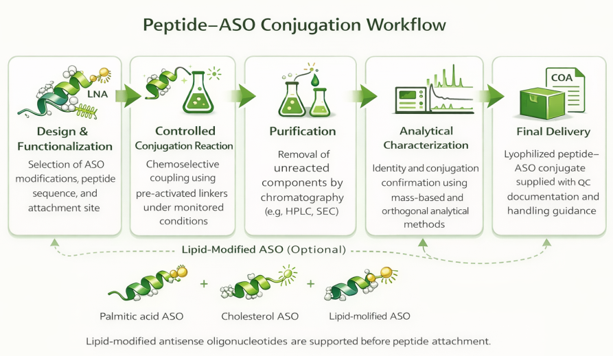 Typical workflow for peptide–PNA conjugate synthesis, purification, and analytical control