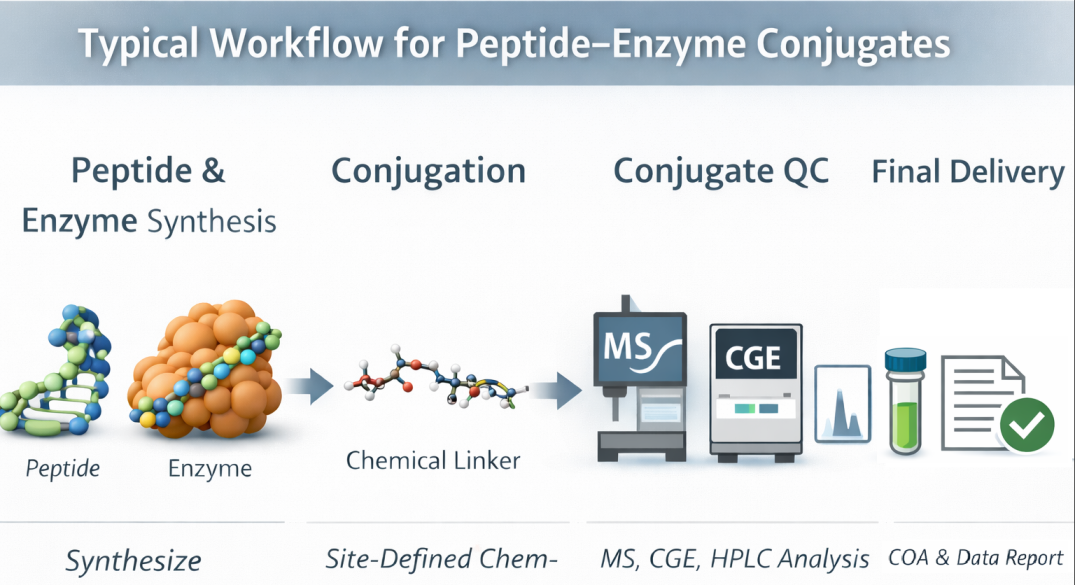Branched peptide synthesis schematic showing a lysine branching core with two to eight peptide arms (MAP-2, MAP-4, MAP-8) and dendrimer for multivalent epitope presentation.