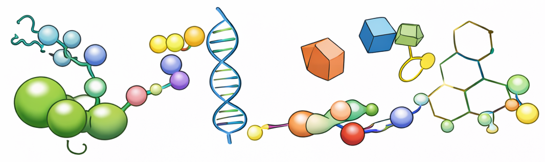 Peptide–oligonucleotide and peptide–drug conjugates illustration