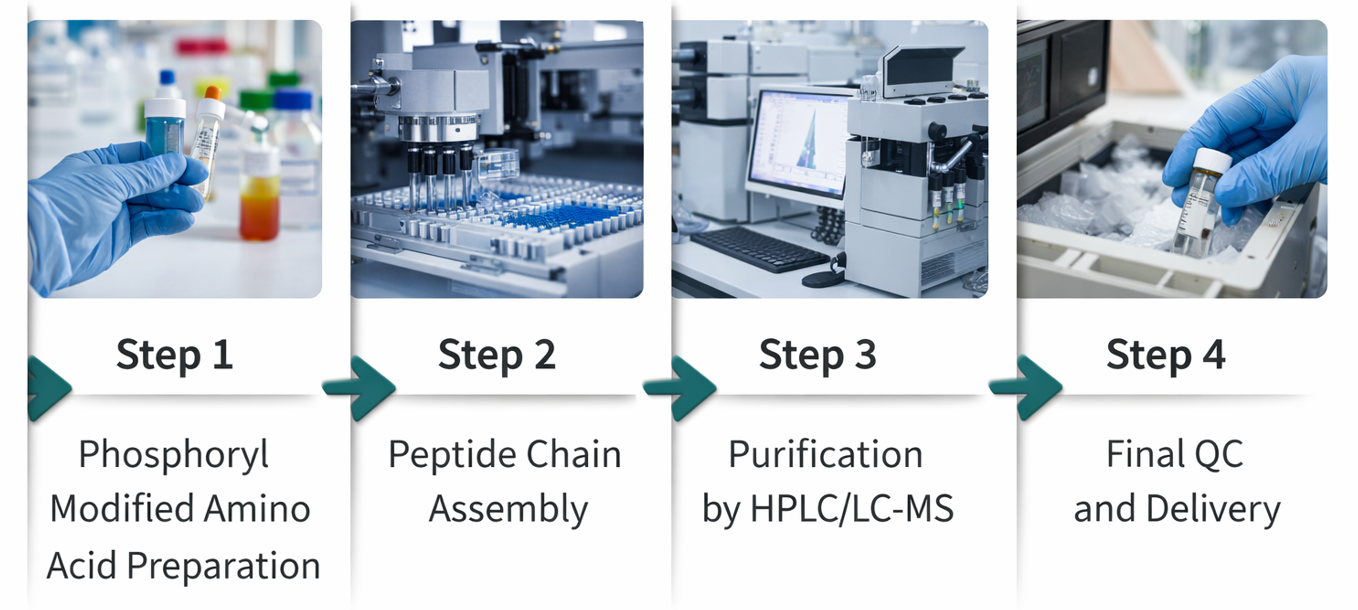 Workflow: from sequence to phosphopeptide