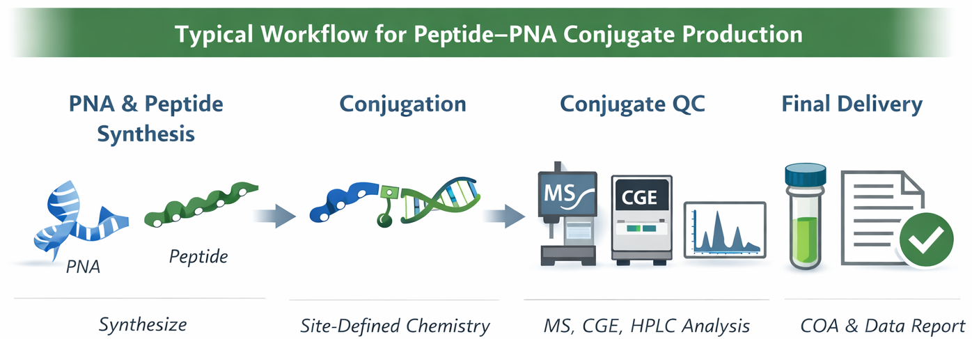 Typical workflow for peptide–PNA conjugate synthesis, purification, and analytical control