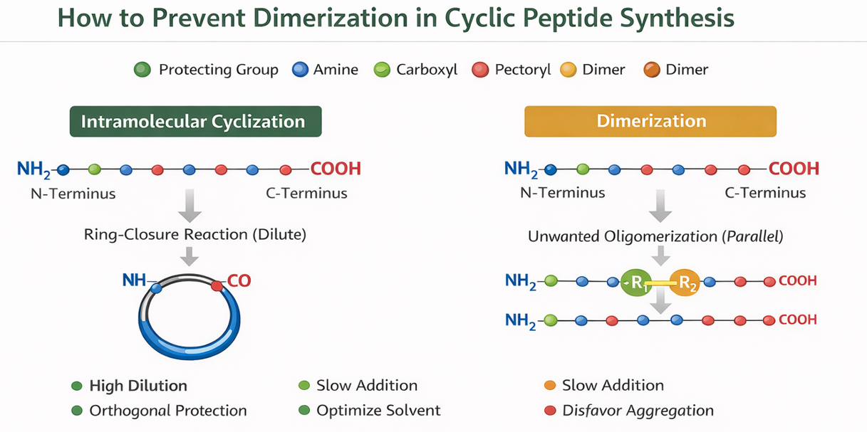 prevent_cyclic_peptide_dimerization.png