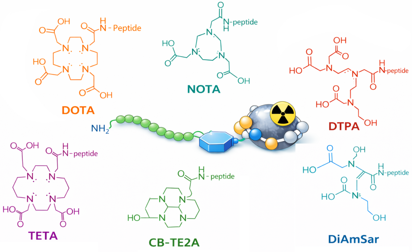 Radiolabel-compatible peptide chelator conjugate showing peptide, linker, and chelator for downstream radiometal labeling
