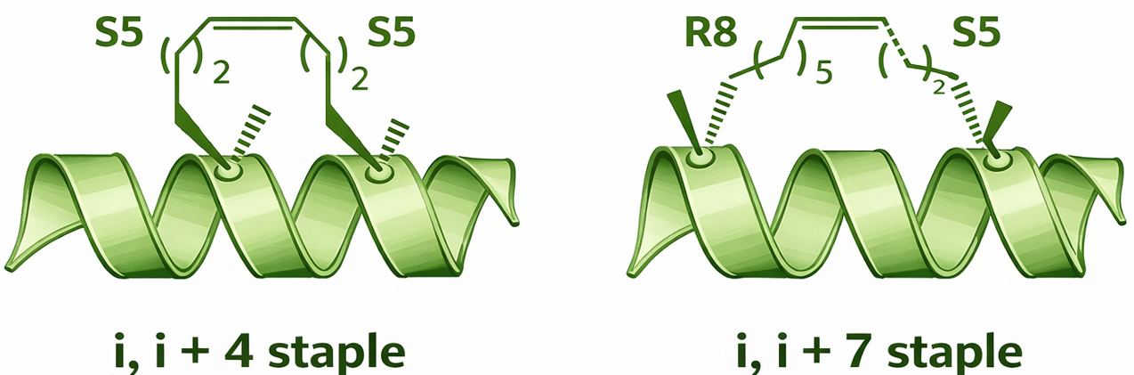 Branched peptide synthesis schematic showing a lysine branching core with two to eight peptide arms (MAP-2, MAP-4, MAP-8) and dendrimer for multivalent epitope presentation.