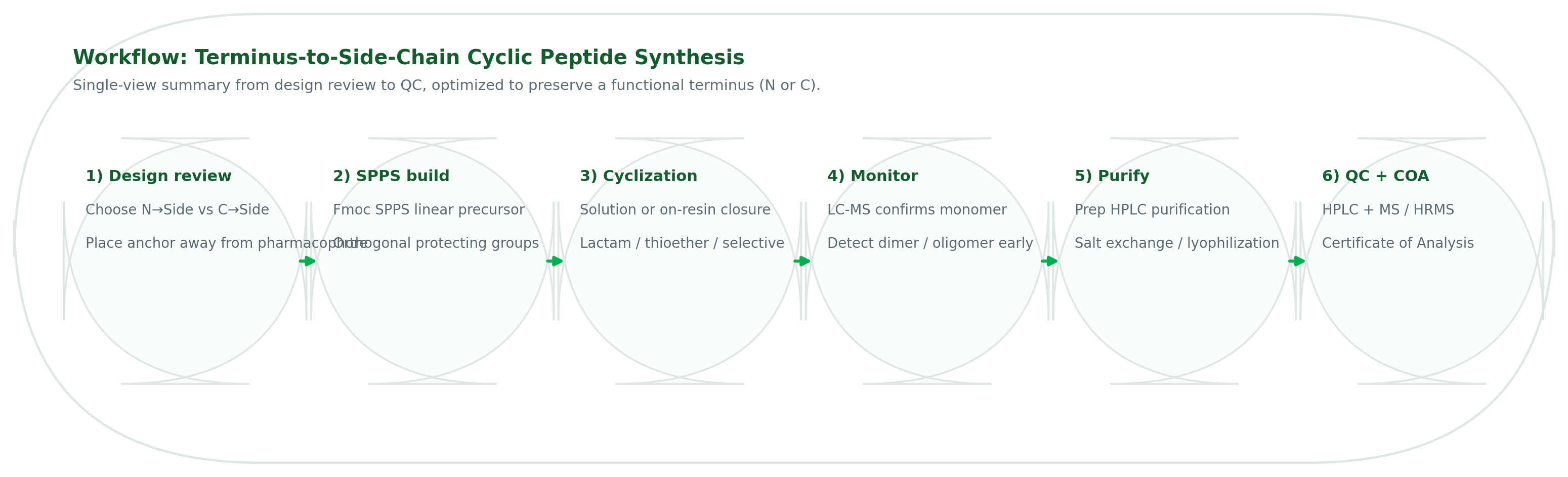 Peptide–polymer conjugation workflow showing handle selection, polymer activation, conjugation, purification, and QC