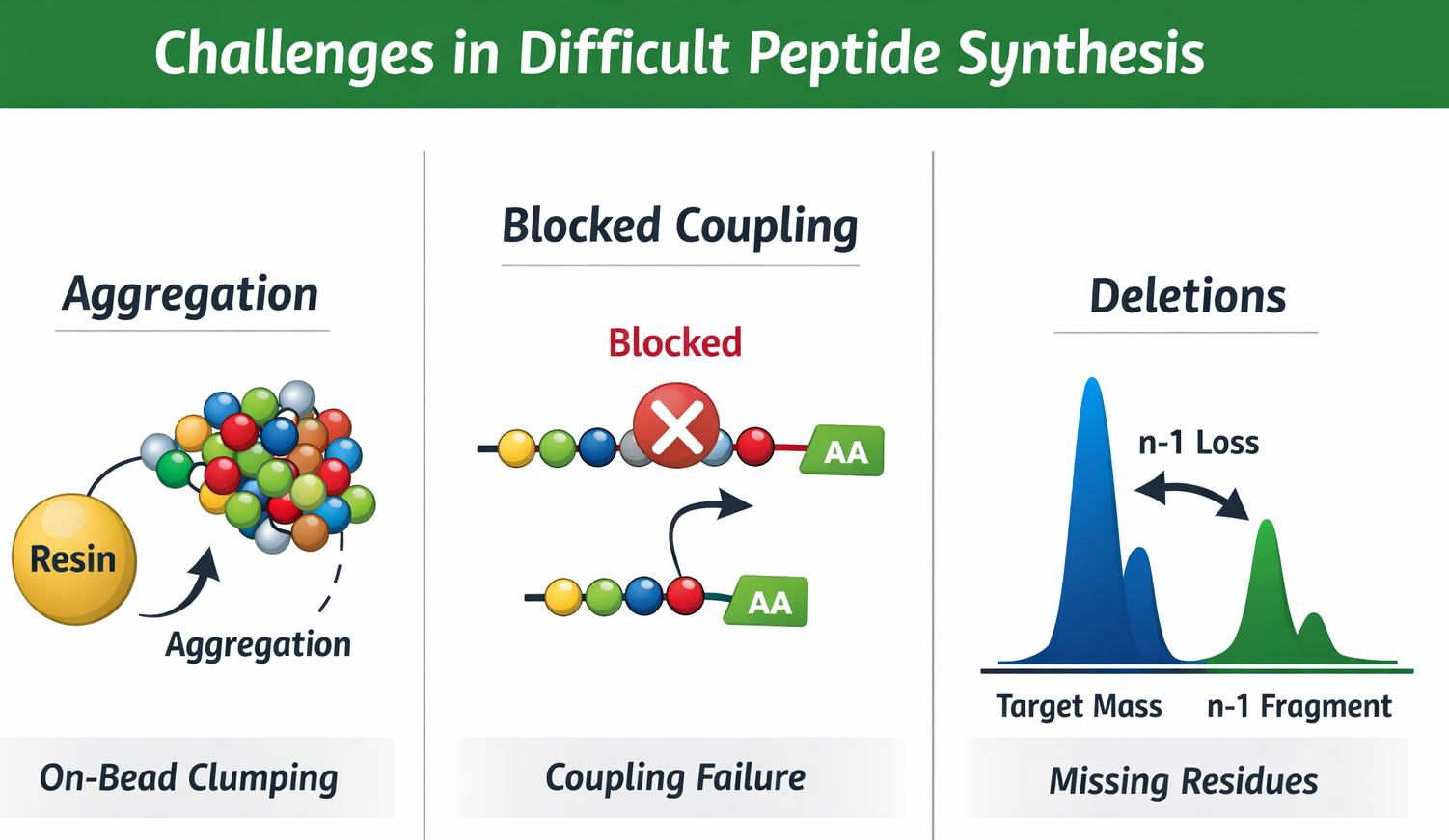 Difficult peptide synthesis mechanism showing on-resin aggregation, blocked coupling, and deletion sequences