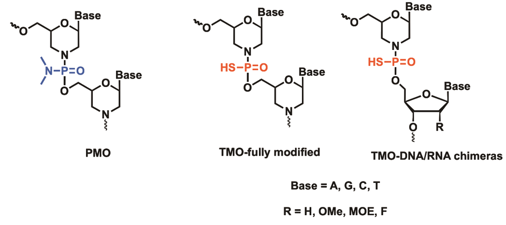 Branched peptide synthesis schematic showing a lysine branching core with two to eight peptide arms (MAP-2, MAP-4, MAP-8) and dendrimer for multivalent epitope presentation.